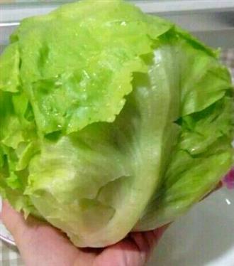 球生菜能和猪肝一起吃吗_球生菜和猪肝可以一起吃吗/同吃