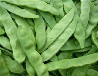 油豆角能和大蒜一起吃吗_油豆角和大蒜可以一起吃吗/同吃