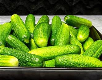 小黄瓜能和花生酱一起吃吗/同吃_小黄瓜和花生酱相克吗