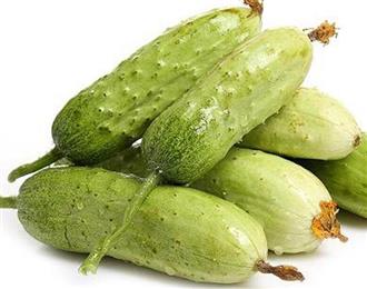 秋黄瓜能和大白菜一起吃吗/同吃_秋黄瓜和大白菜相克吗