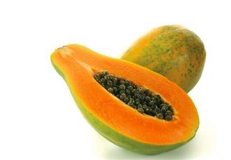 木瓜能和蘑菇一起吃吗_木瓜和蘑菇可以一起吃吗/同吃