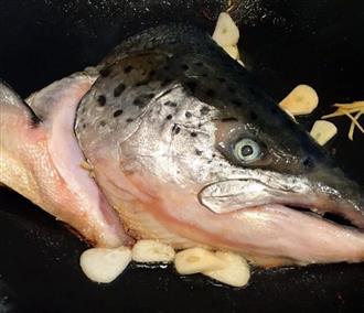 三文鱼头能和蘑菇一起吃吗_三文鱼头和蘑菇可以一起吃吗/同吃