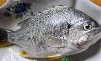 黄脚笠