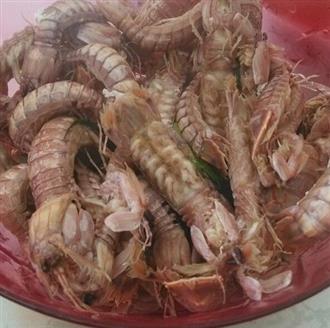 琵琶虾能和乌鸡一起吃吗/同吃_琵琶虾和乌鸡相克吗