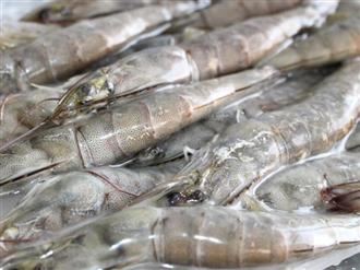 青虾能和西红柿一起吃吗/同吃_青虾和西红柿相克吗