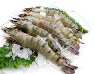草虾能和茶叶一起吃吗/同吃_草虾和茶叶相克吗