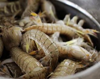 虾虎能和乌鸡一起吃吗/同吃_虾虎和乌鸡相克吗