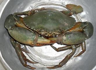 蟹子能和南瓜一起吃吗/同吃_蟹子和南瓜相克吗