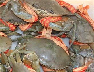 蟹子能和柿子一起吃吗/同吃_蟹子和柿子相克吗