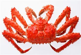 帝王蟹能和芦笋一起吃吗_帝王蟹和芦笋可以一起吃吗/同吃