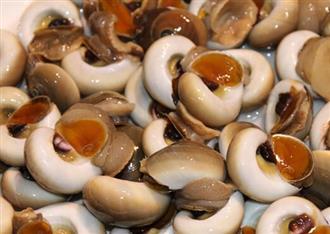 香螺能和猪肉一起吃吗/同吃_香螺和猪肉相克吗