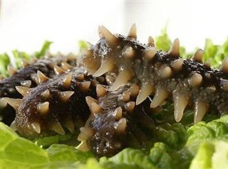 水浸海参能和芦笋一起吃吗_水浸海参和芦笋可以一起吃吗/同吃