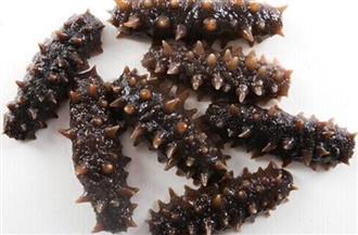 水浸海参能和竹笋一起吃吗_水浸海参和竹笋可以一起吃吗/同吃