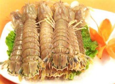 濑尿虾能和乌鸡一起吃吗/同吃_濑尿虾和乌鸡相克吗