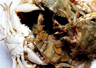 梭子蟹能和桔子一起吃吗/同吃_梭子蟹和桔子相克吗 梭子蟹能和桔子一起吃吗/同吃_梭子蟹和桔子相克吗