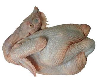 整鸡能和鲍鱼一起吃吗/同吃_整鸡和鲍鱼相克吗