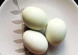 乌鸡蛋能和羊排一起吃吗_乌鸡蛋和羊排可以一起吃吗/同吃