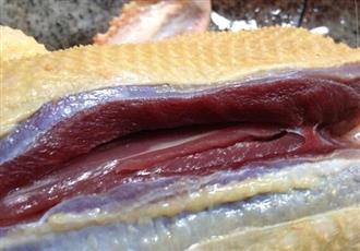 番鸭能和李子一起吃吗/同吃_番鸭和李子相克吗 番鸭能和李子一起吃吗/同吃_番鸭和李子相克吗