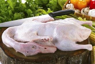 光鸭能和桑葚一起吃吗/同吃_光鸭和桑葚相克吗