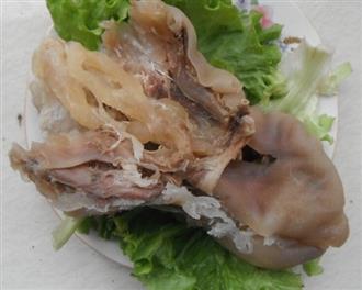 牛头能和鲇鱼一起吃吗/同吃_牛头和鲇鱼相克吗