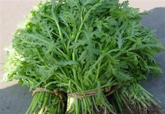 蒿子杆能和鸡胸肉一起吃吗_蒿子杆和鸡胸肉可以一起吃吗/同吃