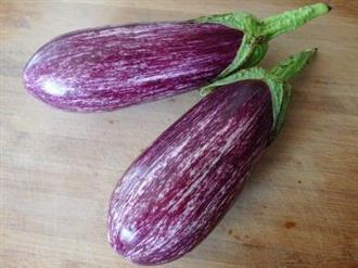 花茄子能和辣椒一起吃吗_花茄子和辣椒可以一起吃吗/同吃