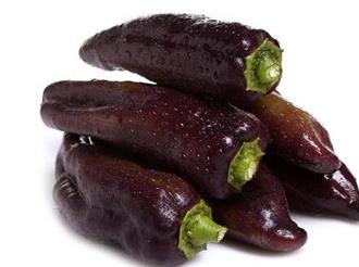 紫尖椒能和鹌鹑一起吃吗_紫尖椒和鹌鹑可以一起吃吗/同吃 紫尖椒能和鹌鹑一起吃吗_紫尖椒和鹌鹑可以一起吃吗/同吃