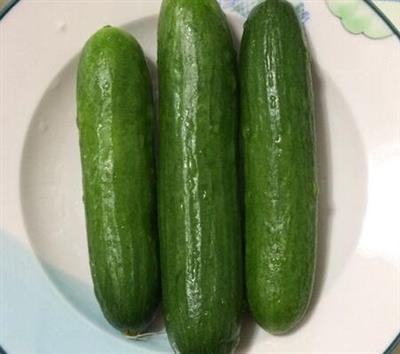 荷兰瓜能和杨梅一起吃吗/同吃_荷兰瓜和杨梅相克吗