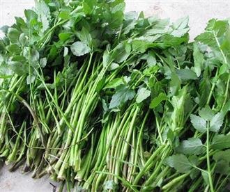 水田芹能和芋头一起吃吗_水田芹和芋头可以一起吃吗/同吃