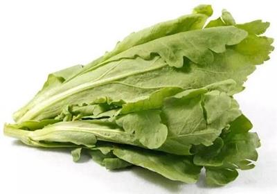 大叶茼蒿能和鸡胸肉一起吃吗_大叶茼蒿和鸡胸肉可以一起吃吗/同吃 大叶茼蒿能和鸡胸肉一起吃吗_大叶茼蒿和鸡胸肉可以一起吃吗/同吃