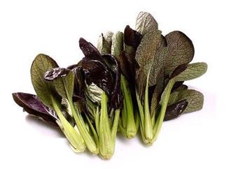 紫叶油菜能和黄瓜一起吃吗/同吃_紫叶油菜和黄瓜相克吗