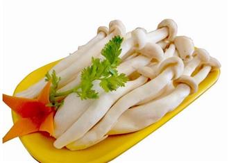 海鲜菇能和苦瓜一起吃吗/同吃_海鲜菇和苦瓜相克吗