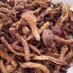 松蘑能和火腿一起吃吗_松蘑和火腿可以一起吃吗/同吃