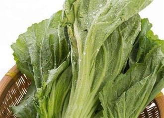 芥菜能和鸡心一起吃吗_芥菜和鸡心可以一起吃吗/同吃 芥菜能和鸡心一起吃吗_芥菜和鸡心可以一起吃吗/同吃