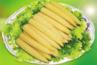 玉米笋能和扇贝一起吃吗/同吃_玉米笋和扇贝相克吗 玉米笋能和扇贝一起吃吗/同吃_玉米笋和扇贝相克吗