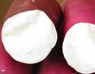 甘薯能和香蕉一起吃吗/同吃_甘薯和香蕉相克吗 甘薯能和香蕉一起吃吗/同吃_甘薯和香蕉相克吗