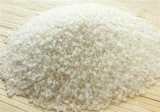 寿司米能和荷叶一起吃吗_寿司米和荷叶可以一起吃吗/同吃