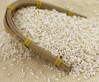 早糯谷能和枣一起吃吗_早糯谷和枣可以一起吃吗/同吃