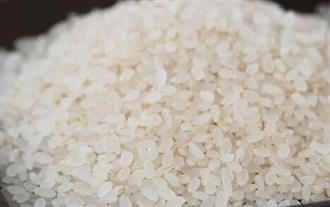 胚芽米能和黑米一起吃吗_胚芽米和黑米可以一起吃吗/同吃