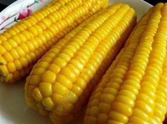 老玉米能和大豆一起吃吗_老玉米和大豆可以一起吃吗/同吃 老玉米能和大豆一起吃吗_老玉米和大豆可以一起吃吗/同吃