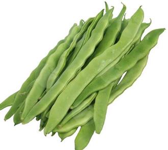 垅船豆