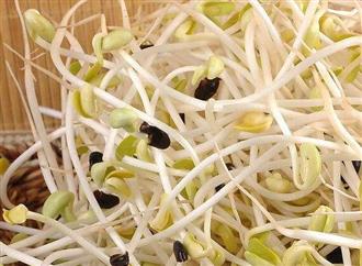 黑豆豆芽的营养价值