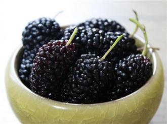 桑葚能和黑芝麻一起吃吗_桑葚和黑芝麻可以一起吃吗/同吃 桑葚能和黑芝麻一起吃吗_桑葚和黑芝麻可以一起吃吗/同吃