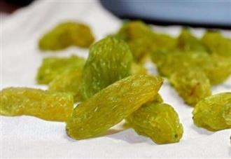 葡萄干能和龟一起吃吗/同吃_葡萄干和龟相克吗 葡萄干能和龟一起吃吗/同吃_葡萄干和龟相克吗