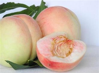 桃能和甲鱼一起吃吗/同吃_桃和甲鱼相克吗