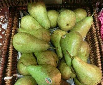 长把梨能和银耳一起吃吗_长把梨和银耳可以一起吃吗/同吃