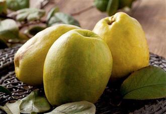 榅桲能和羊肉一起吃吗/同吃_榅桲和羊肉相克吗