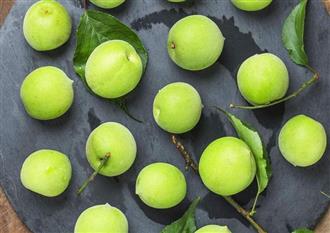 青梅能和猪骨头一起吃吗/同吃_青梅和猪骨头相克吗