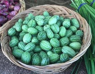 小西瓜能和鳝鱼一起吃吗_小西瓜和鳝鱼可以一起吃吗/同吃 小西瓜能和鳝鱼一起吃吗_小西瓜和鳝鱼可以一起吃吗/同吃