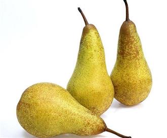 西洋梨能和大花蟹一起吃吗/同吃_西洋梨和大花蟹相克吗